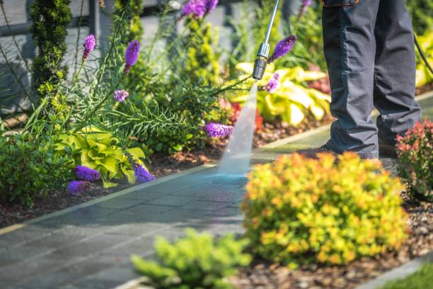 Reliable Ahwahnee, CA Pressure Washing Services Solutions